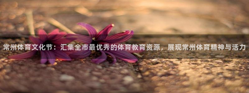 哈哈体育下载