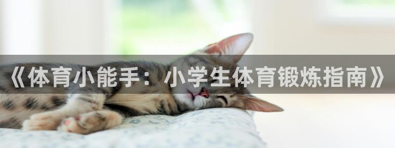 哈哈体育十年