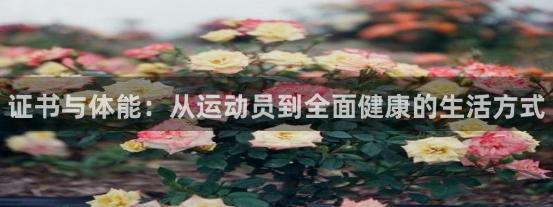 哈哈体育下载