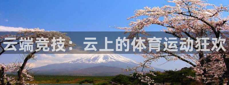 哈哈体育十年：云端竞技：云上的体育运动狂欢
