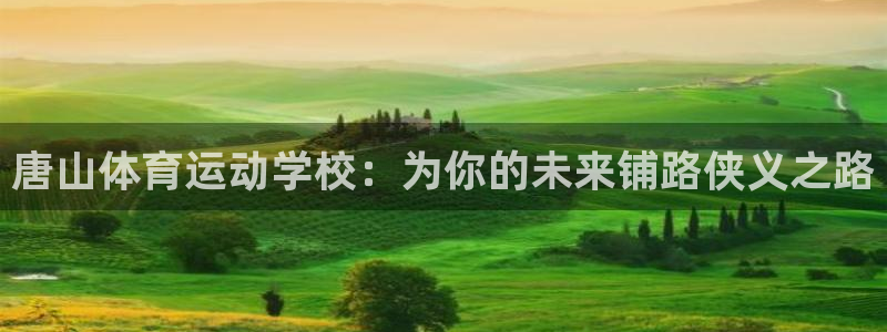 哈哈体育十年