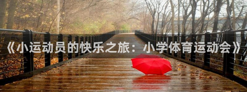 哈哈体育下载