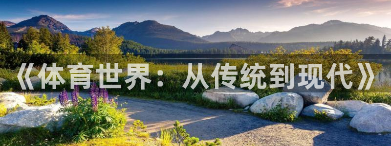 哈哈体育十年