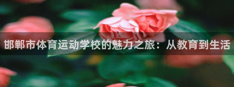 哈哈体育下载
