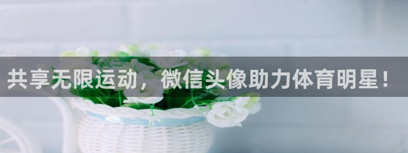 哈哈体育下载