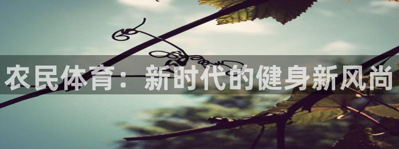 哈哈体育下载
