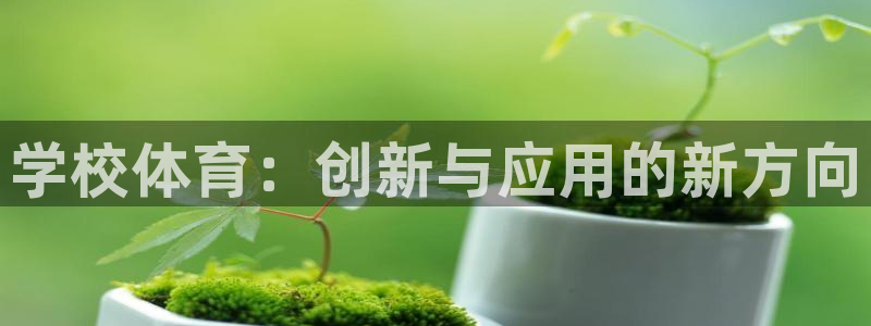 哈哈体育十年