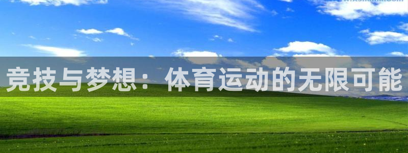 哈哈体育十年