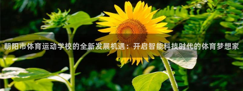 哈哈体育十年：朝阳市体育运动学校的全新发展机遇：开启智能科技时代的体育梦想家
